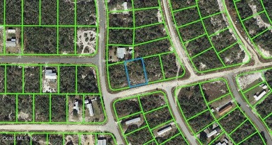 Lake Grassy Lot For Sale in Lake Placid Florida