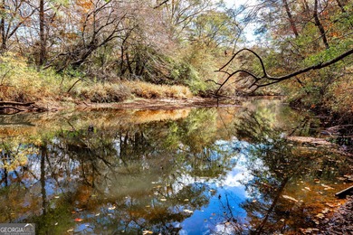 (private lake, pond, creek) Acreage For Sale in Senoia Georgia