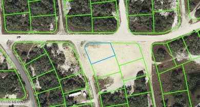 Lake Grassy Lot For Sale in Lake Placid Florida
