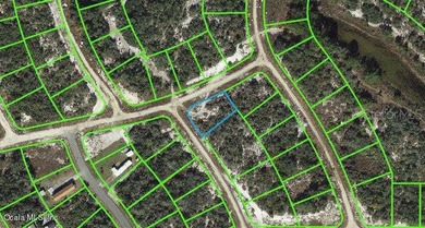 Lake Grassy Lot For Sale in Lake Placid Florida