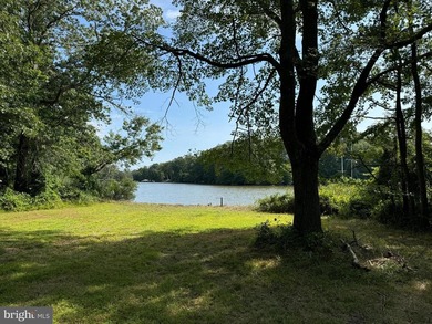 Waterfront Buildable Lot - Just Reduced....and Ready for Final - photo 1