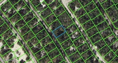 Lake Grassy Lot For Sale in Lake Placid Florida