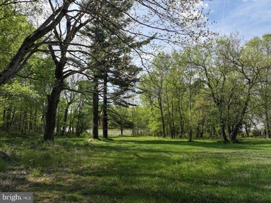 Waterfront Buildable Lot - Just Reduced....and Ready for Final - photo 10