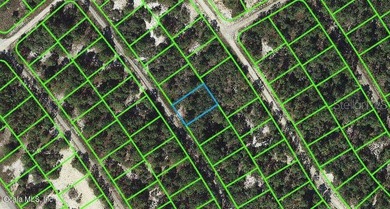 Lake Grassy Lot For Sale in Lake Placid Florida