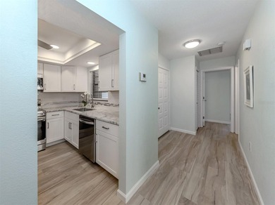 Newly remodeled and beautifully updated first-floor paired villa - photo 6