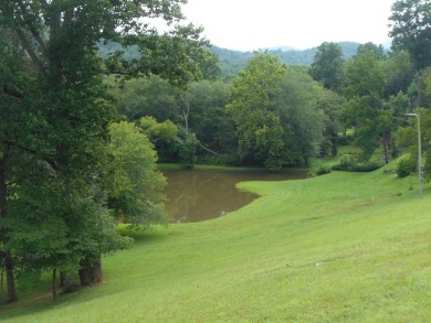 Lovely Townhome in Clarks Chapel with  Great distant mountain