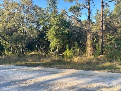 Withlacoochee River Lot For Sale in Webster Florida