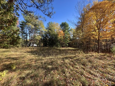 Lake Lot For Sale in Holden, Maine