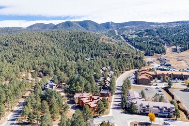 Price improvement!!! This two bedroom, two and a half bath, two - photo 32