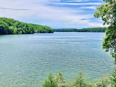 Beautiful condo at Eagle Pointe Resort on Lake Monroe - photo 41