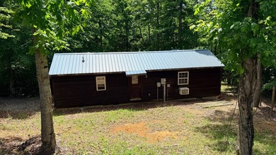 Log Cabin & Lot- Don't miss this one of a kind property located - photo 3