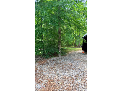 Log Cabin & Lot- Don't miss this one of a kind property located - photo 7