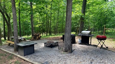 Log Cabin & Lot- Don't miss this one of a kind property located - photo 10