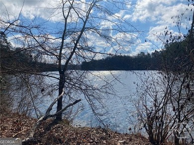 Lake Acreage For Sale in Elberton, Georgia