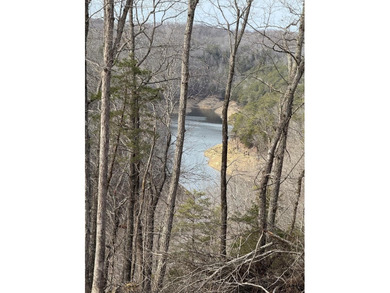 Lake Cumberland Acreage For Sale in Albany Kentucky