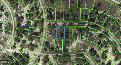 Lake Grassy Lot For Sale in Lake Placid Florida