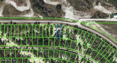 Lake Grassy Lot For Sale in Lake Placid Florida