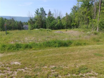 Lake Lot Off Market in Canandaigua, New York