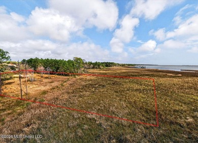 Here is a rare opportunity to own 3 acres situated right on - photo 4