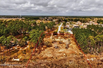 Here is a rare opportunity to own 3 acres situated right on - photo 6