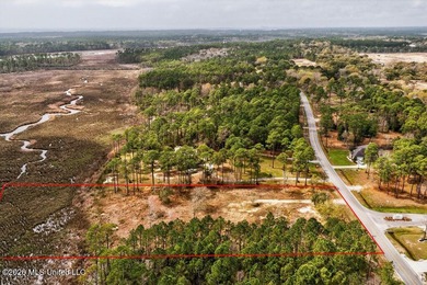 Here is a rare opportunity to own 3 acres situated right on - photo 8