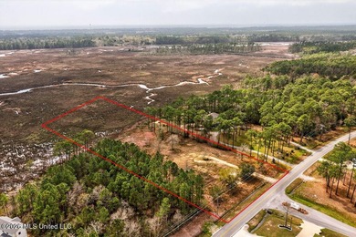 Here is a rare opportunity to own 3 acres situated right on - photo 9