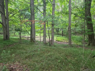 Wooded lot backing up to the golf course. Provides boating - photo 1