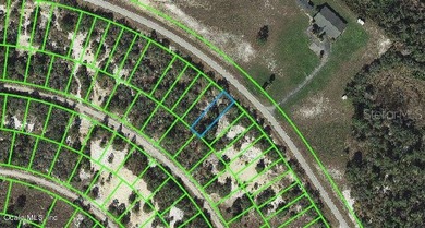 Lake Grassy Lot For Sale in Lake Placid Florida