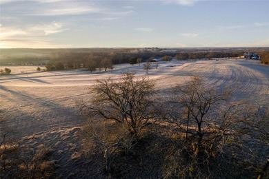 Located in the growing North Texas corridor, this exceptional 82 - photo 13