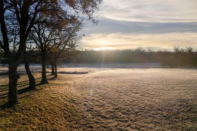 Located in the growing North Texas corridor, this exceptional 82 - photo 14