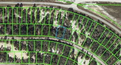 Lake Grassy Lot For Sale in Lake Placid Florida