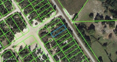 Lake Grassy Lot For Sale in Lake Placid Florida
