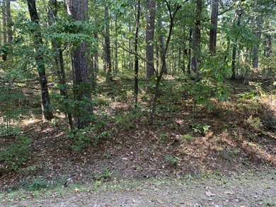 Additional listing photo 1