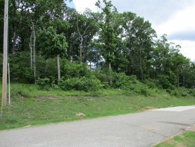  Lot For Sale in Bath Springs Tennessee