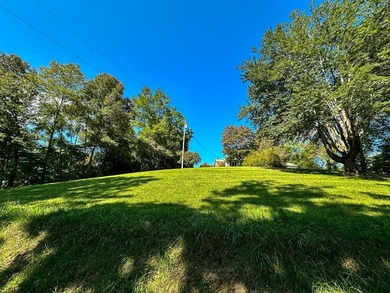 Tuckaseegee River Home For Sale in Tuckasegee North Carolina