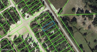 Lake Grassy Lot For Sale in Lake Placid Florida