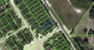 Lake Grassy Lot For Sale in Lake Placid Florida