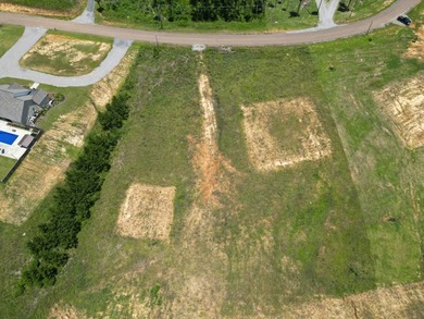 Looking for a build ready lot in the highly desired Pisgah - photo 6