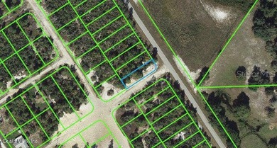 Lake Grassy Lot For Sale in Lake Placid Florida