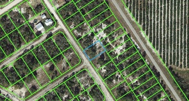 Lake Grassy Lot For Sale in Lake Placid Florida