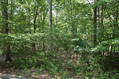 Conashaugh Lake Lot Sale Pending in Milford Pennsylvania