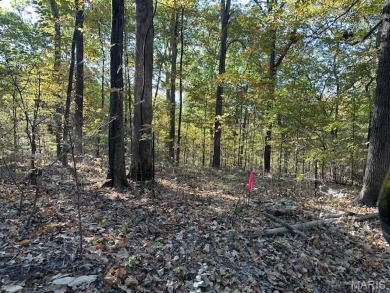 (private lake, pond, creek) Lot For Sale in Jackson Missouri