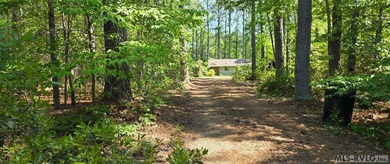 Calling Lake Gaston Dreamers:! Bring your creativity for this - photo 1
