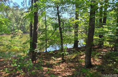 Calling Lake Gaston Dreamers:! Bring your creativity for this - photo 4