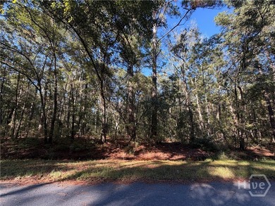 Discover the best deal around. 15.36 acres of opportunity in the - photo 2