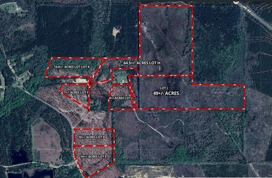 Pearl River Acreage For Sale in Columbia Mississippi