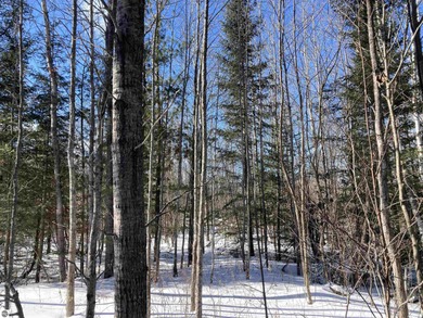 (private lake, pond, creek) Acreage For Sale in Mio Michigan