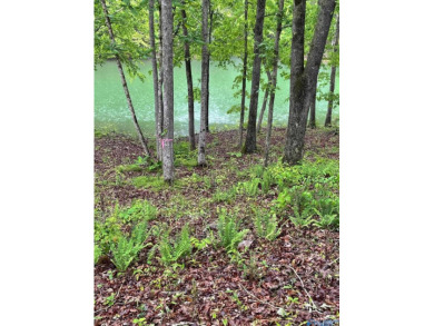 Lake Lot For Sale in Double Springs, Alabama