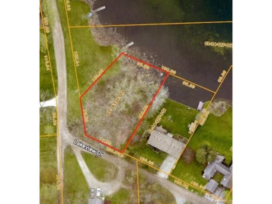 (private lake, pond, creek) Lot For Sale in Brandon Michigan