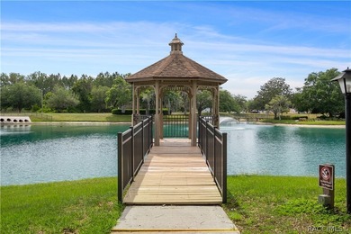 (Fox Hollow is NOT a 55+ community) This unique home is truly - photo 47